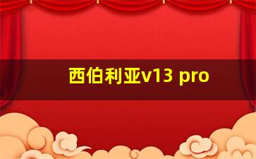 西伯利亚v13 pro